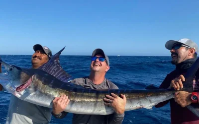 Experience World-Class Fishing: Your Guide to Bisbee’s Tournaments in Cabo San Lucas 2024